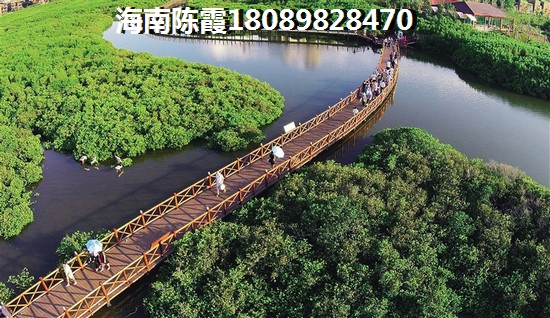万宁买房资格