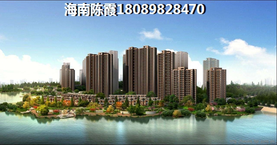 为什么XG后海南房价还在上涨