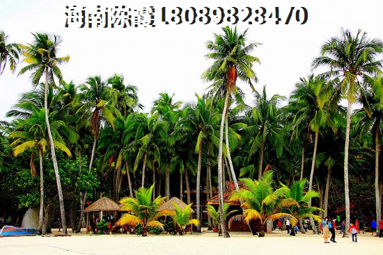 华亚海岛假日VS景通·椰景湾分析对比