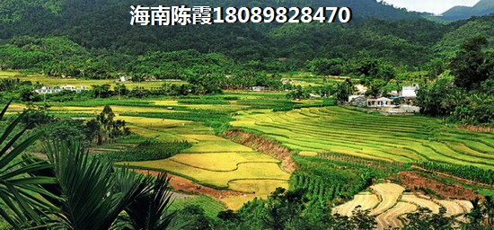 华亚海岛假日VS恒大·美丽沙分析对比