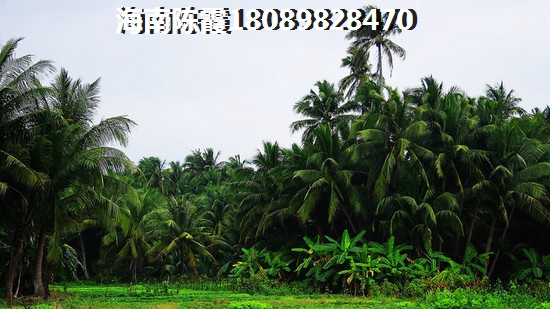 海南气候适合购房者长期居住吗？神州半岛气候怎么样？