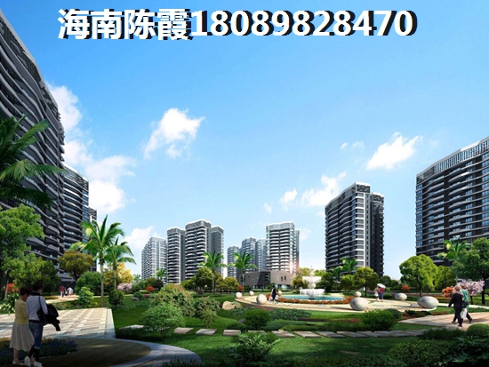 海南万宁兴隆镇未来发展前景比较好的地方！