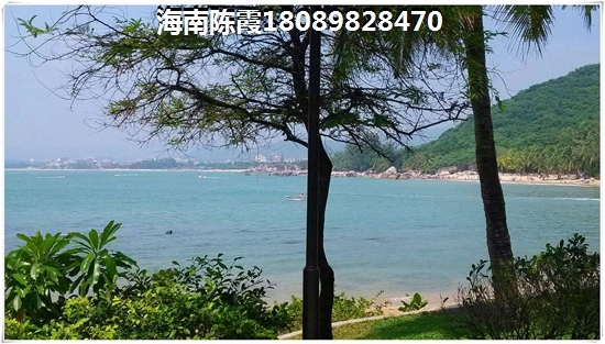 卖发胶的店叫什么