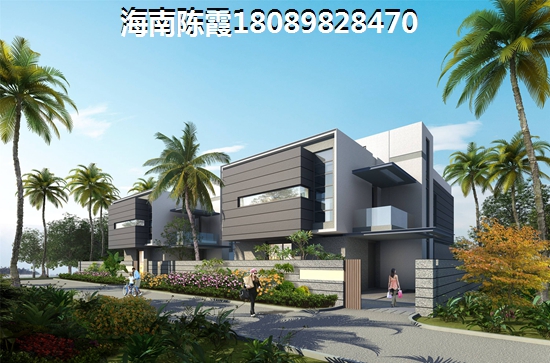 中公是什么意思
