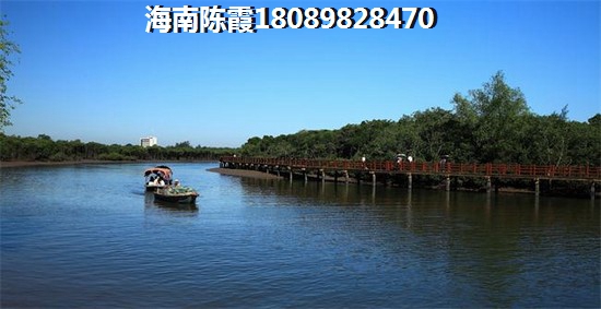 歌词是爱上你有什么歌