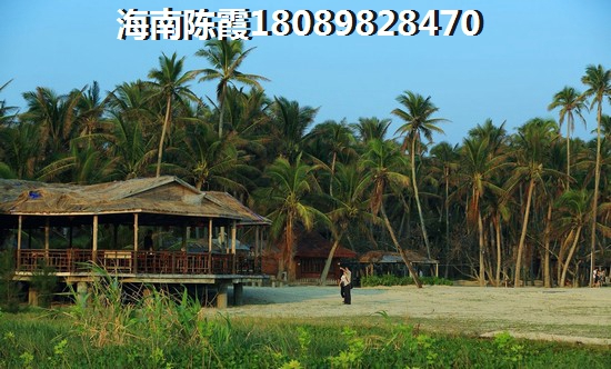 扁粉机创业前景